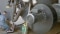 The image shows a maintenance.